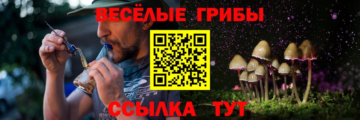 как найти закладки  Псилоцибиновые грибы MAGIC MUSHROOMS  Вход с VPN  Бор  Псилоцибиновые грибы мухоморы 